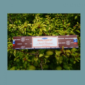 Rain Forest Incense